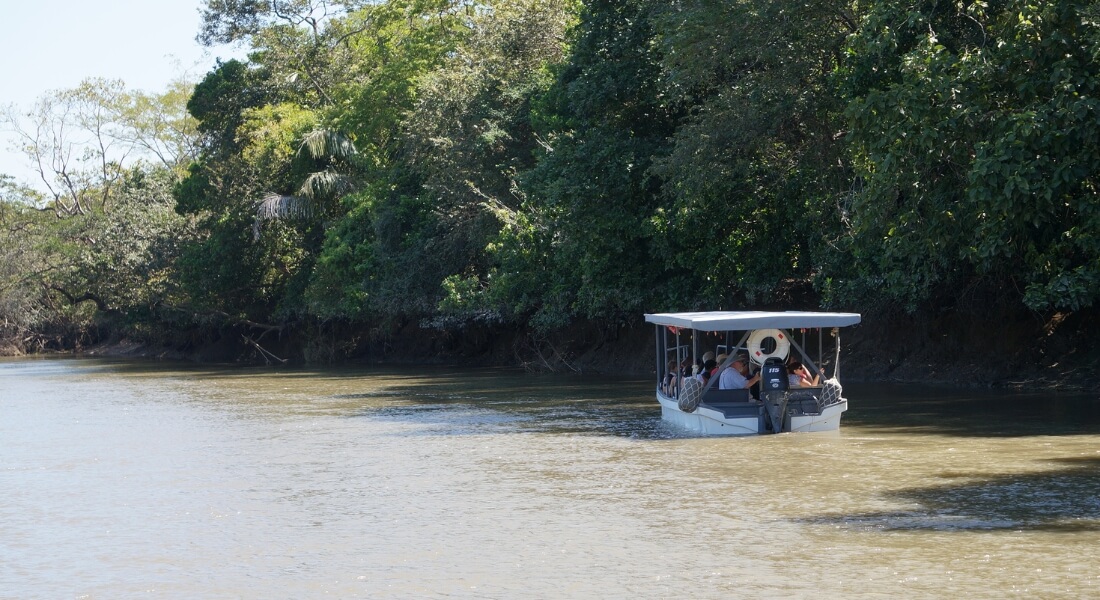 Palo Verde Boat Tour, Tempisque River, Guanacaste